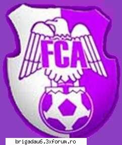 Fan-club Rapid in Pitesti - orice ar fi si orinde ar juca,FC ARGES ramane in - Fotbal....