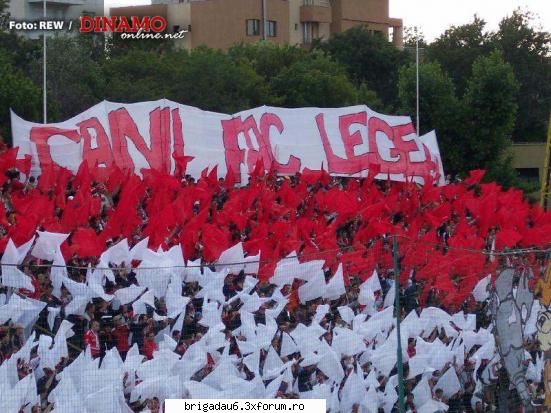 cu ce echipa tineti. - CAINE PA LA MOARTE !!!!!!!!:x:x:x:x:x:x:x:x:x:x:x - Fotbal....